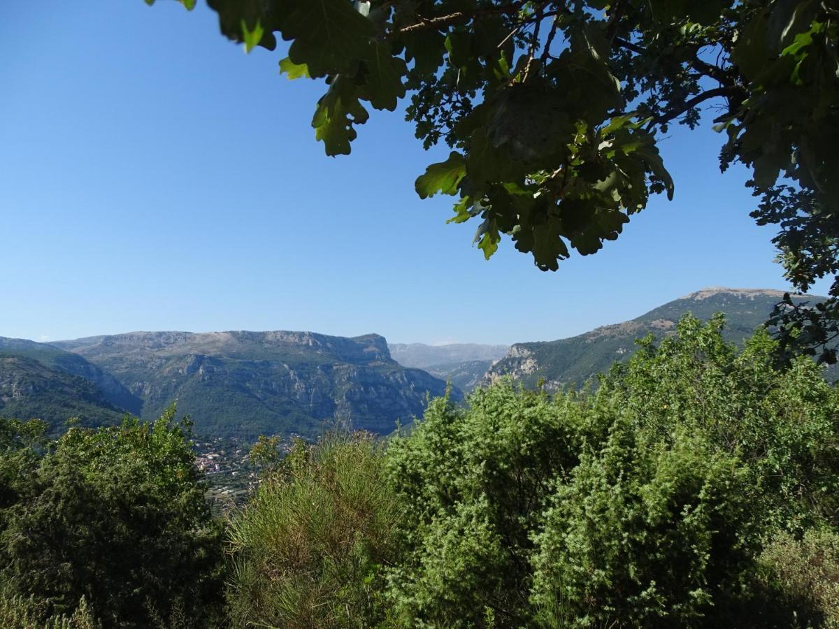 Le Bar-sur-Loup Luva D'Azur, Rez De Villa Le Riou - Le Vallon מראה חיצוני תמונה