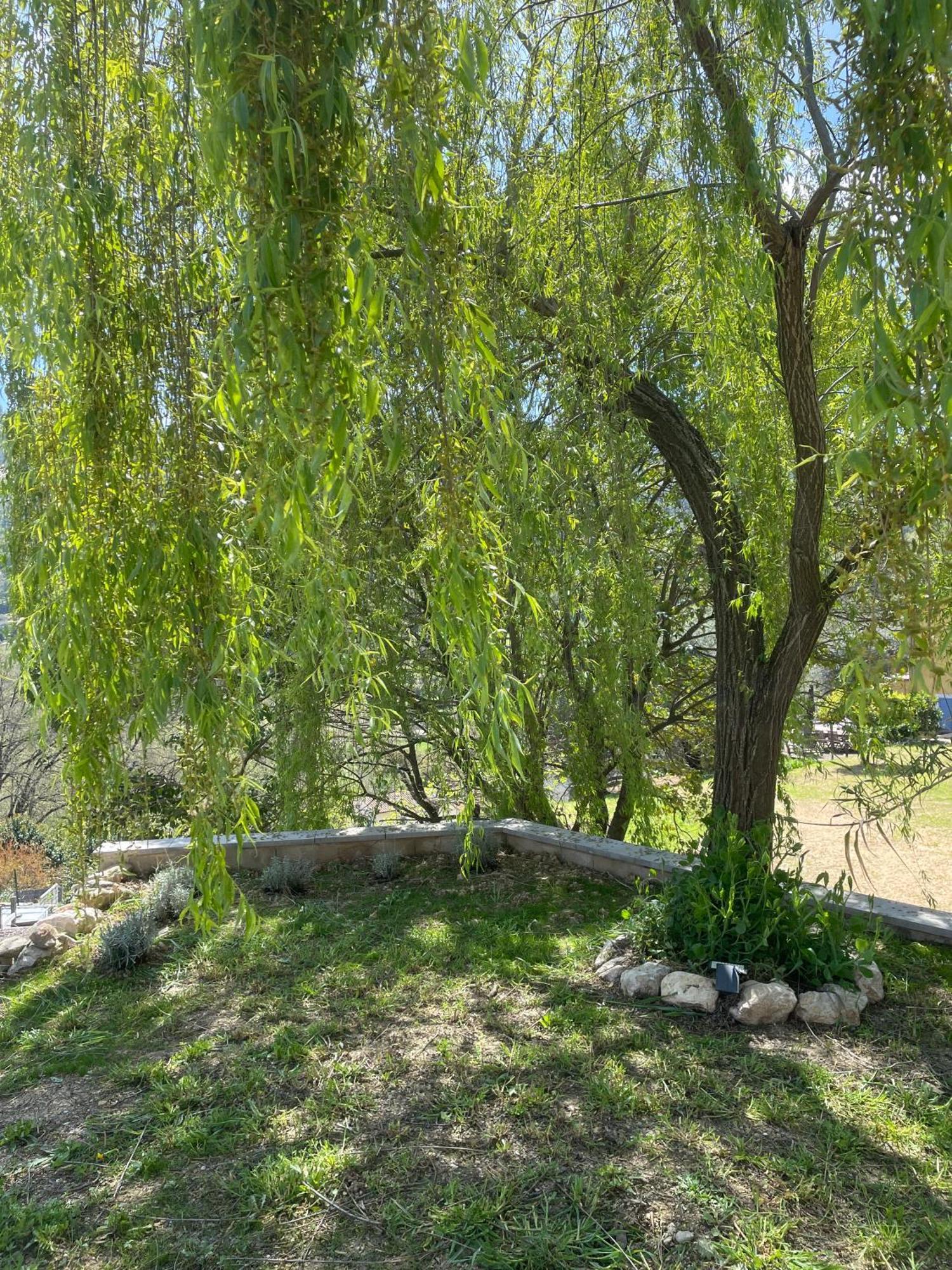 Le Bar-sur-Loup Luva D'Azur, Rez De Villa Le Riou - Le Vallon מראה חיצוני תמונה